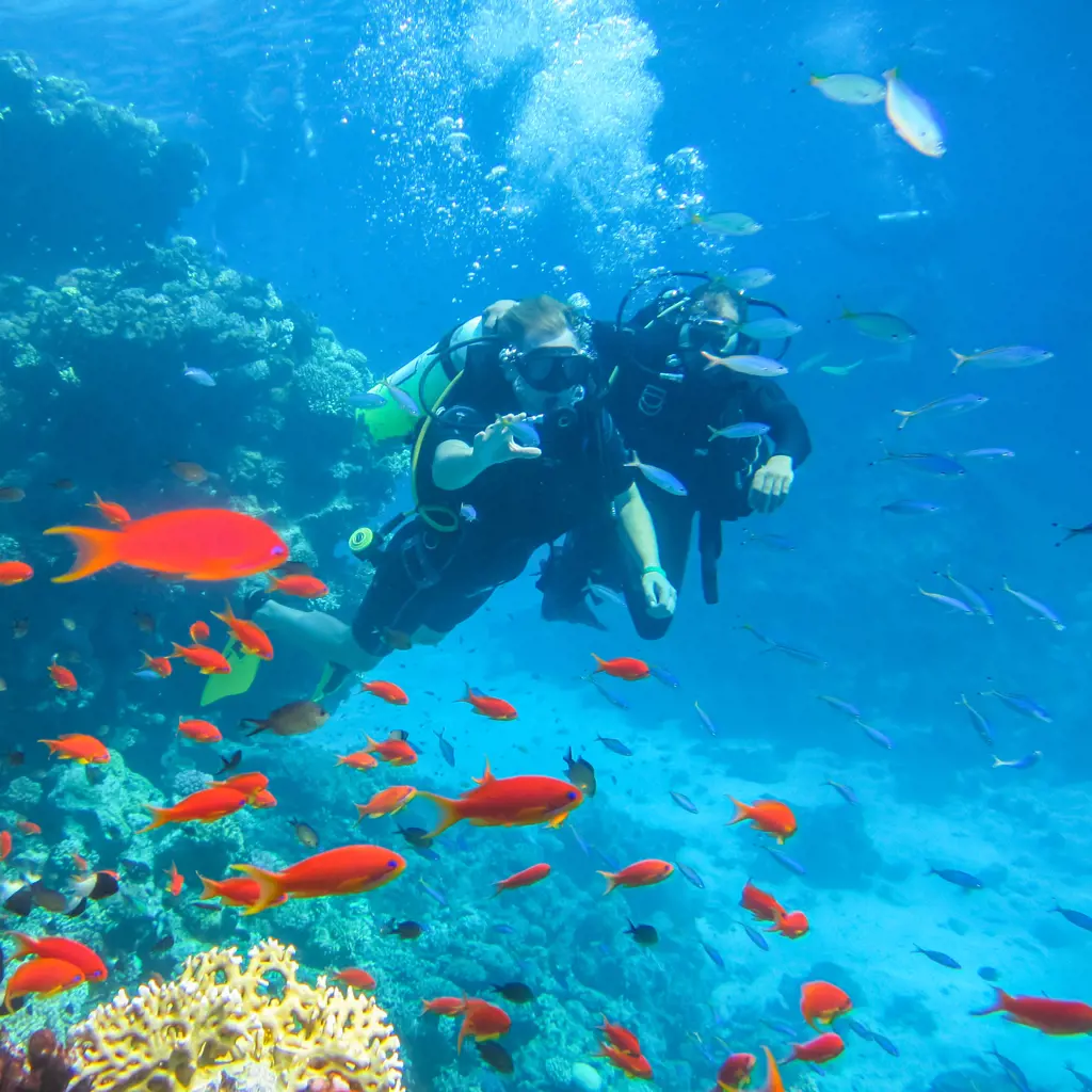 Tauchreisen Naher Osten